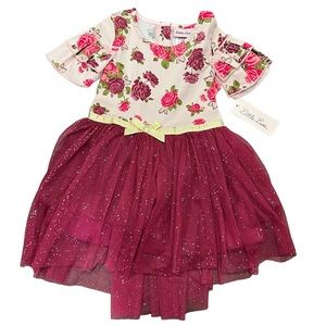 Little Lass Floral Sparkly Pink Burgundy Red Dress size 24M